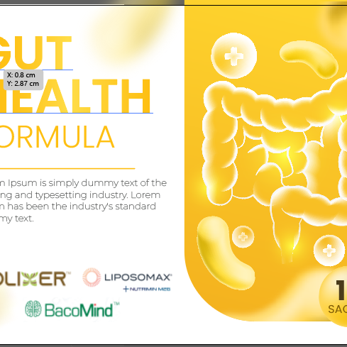 Gut Health formula 2026